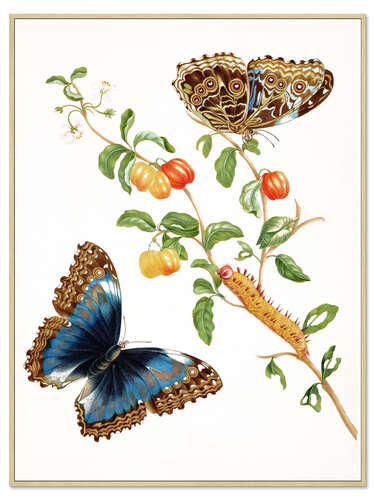 Foam board print Two Blue Butterflies