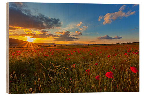 Wood print Sundown Poppies