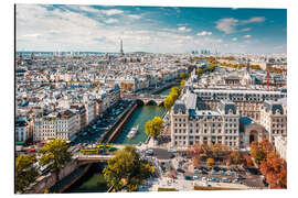 Aluminium print View over Paris, from Notre-Dame