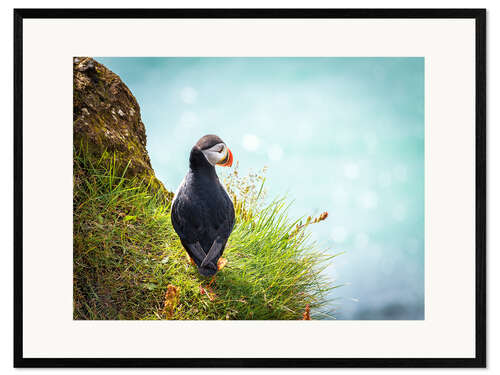 Ingelijste kunstdruk Puffin looking at the Sea