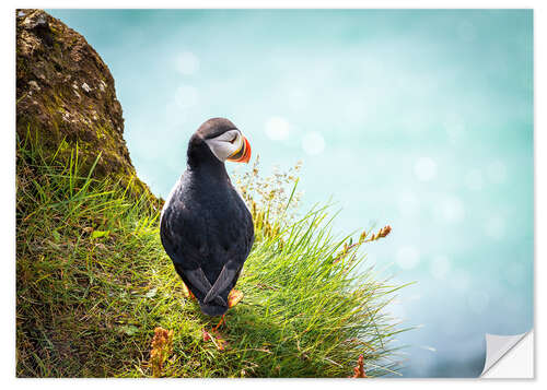 Sticker mural Puffin looking at the Sea