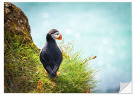 Naklejka na ścianę Puffin looking at the Sea