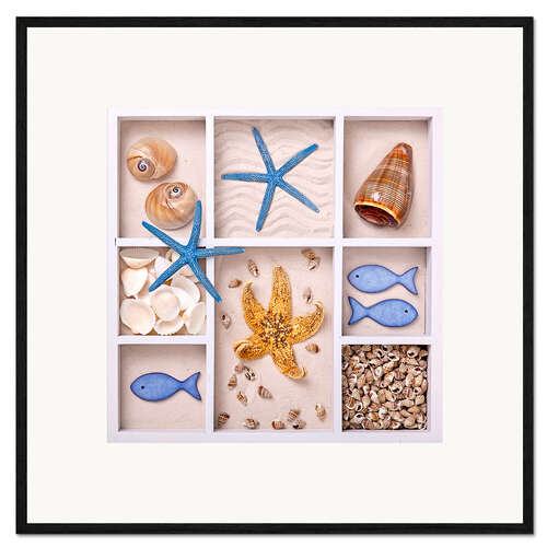 Kunsttryk i ramme Shells in a seed tray V
