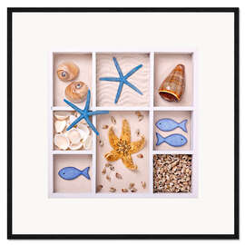 Kunsttryk i ramme Shells in a seed tray V