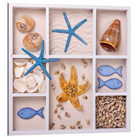 Magnettafel Muscheln in einem Setzkasten V