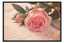 Gerahmter Kunstdruck Rose auf dem alten Brief