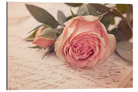 Magnettafel Rose auf dem alten Brief