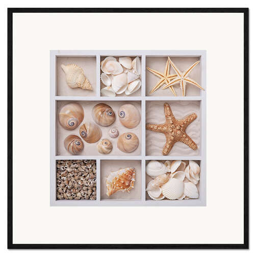 Kehystetty taidepainatus Shells in a seed tray II