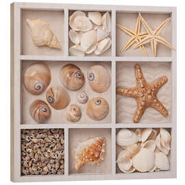 Wood print Shells in a seed tray II