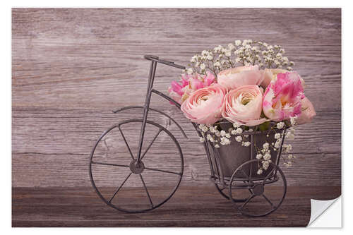 Wandsticker Ranunculus