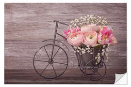 Muursticker Ranunculus