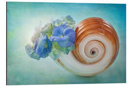 Tableau en aluminium Petites fleurs bleues dans une coquille d'escargot