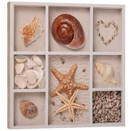 Wood print Shells in a seed tray I