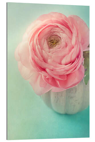 Gallery print A beautiful peony