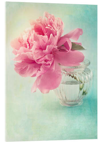 Akryylilasitaulu Pink peony in a glass vase