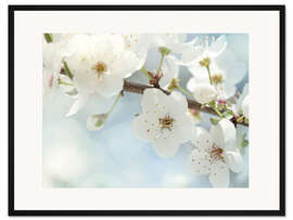 Gerahmter Kunstdruck Frühlingsblüten gegen einen blauen Himmel