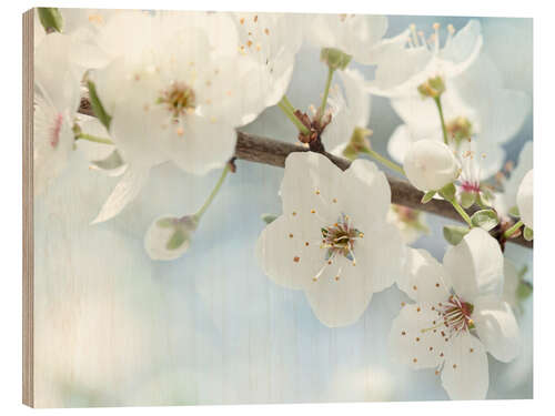 Wood print Spring blossoms against a blue sky