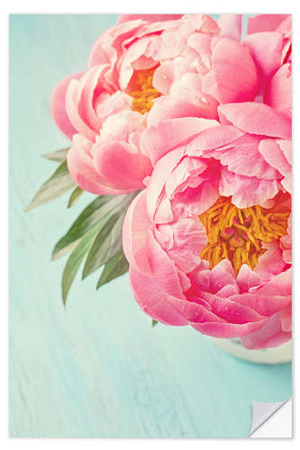 Självhäftande poster Two peonies on turquoise