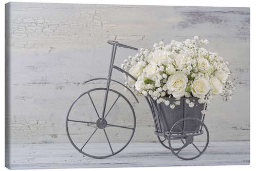 Lerretsbilde Old bike with white roses