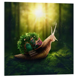 Acrylic print Snail in the magic forest