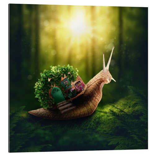 Gallery print Snail in the magic forest