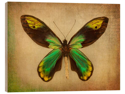 Puutaulu Green butterfly