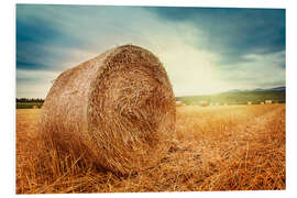 Foam board print Straw bales