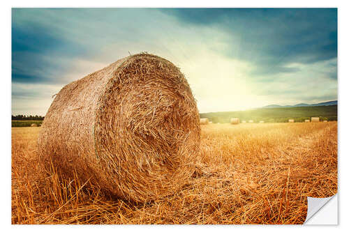 Wall sticker Straw bales