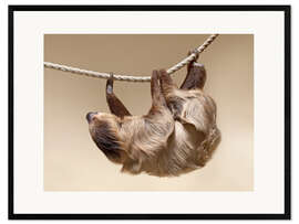 Impression artistique encadrée Sloth on the rope