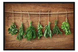Gerahmter Kunstdruck  Kräuter 