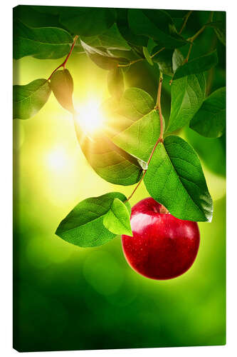 Canvas print Red apple