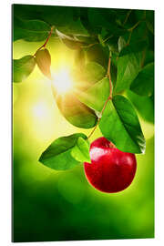 Gallery print Red apple