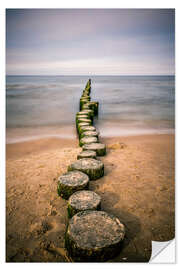 Wandsticker Seeblick Bansin Usedom