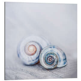 Tableau en aluminium Blue Shells