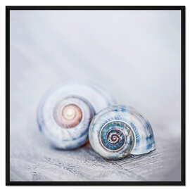 Gerahmter Kunstdruck Blue Shells