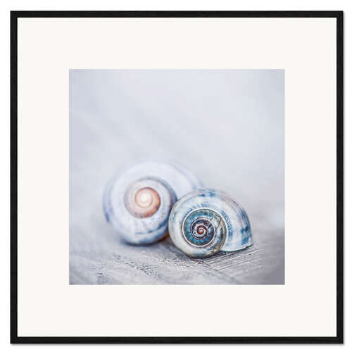 Impresión de arte enmarcada Blue Shells