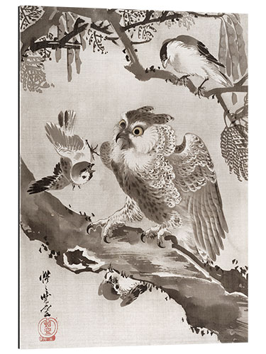 Gallery print Owl Mocked by Small Birds