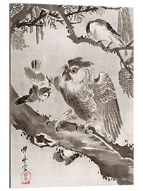 Gallery print Owl Mocked by Small Birds