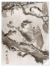 Selvklebende plakat Owl Mocked by Small Birds