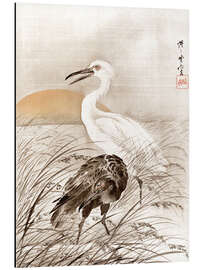 Magnettafel Kraniche im Sumpf