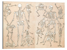 Stampa su alluminio skeletons