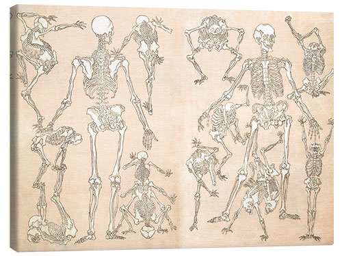 Canvastavla skeletons