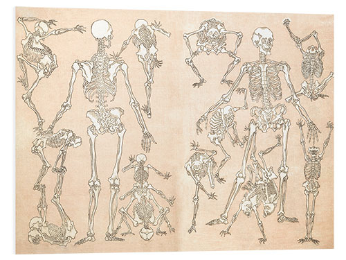 PVC-taulu skeletons