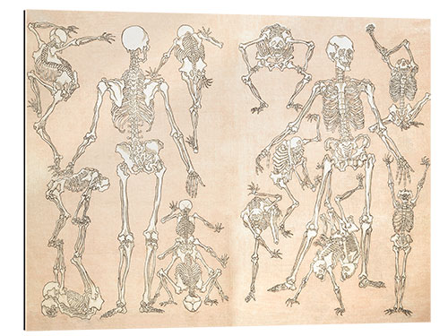 Gallery print skeletons