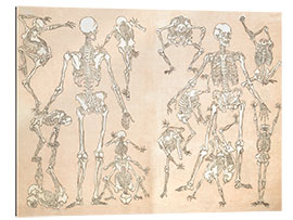 Gallery print skeletons