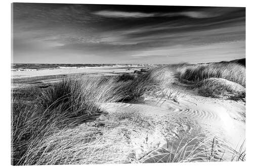 Acrylic print Baltic sea dunes (monochrome)