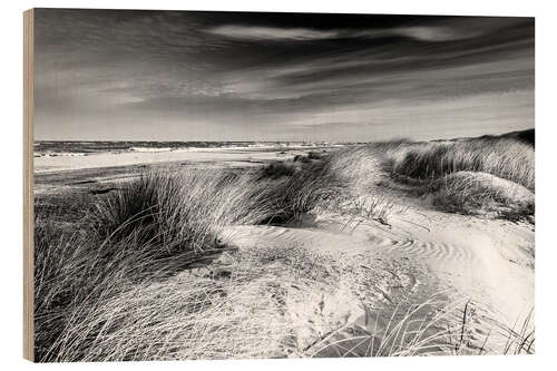 Wood print Baltic sea dunes (monochrome)