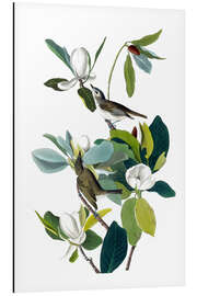 Tableau en aluminium Deux oiseaux et magnolias