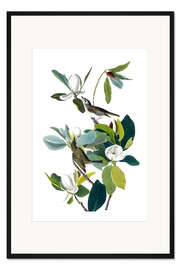 Gerahmter Kunstdruck Zwei Vögel mit Magnolie