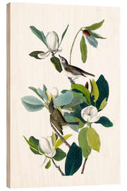 Hout print Warbling Flycatcher